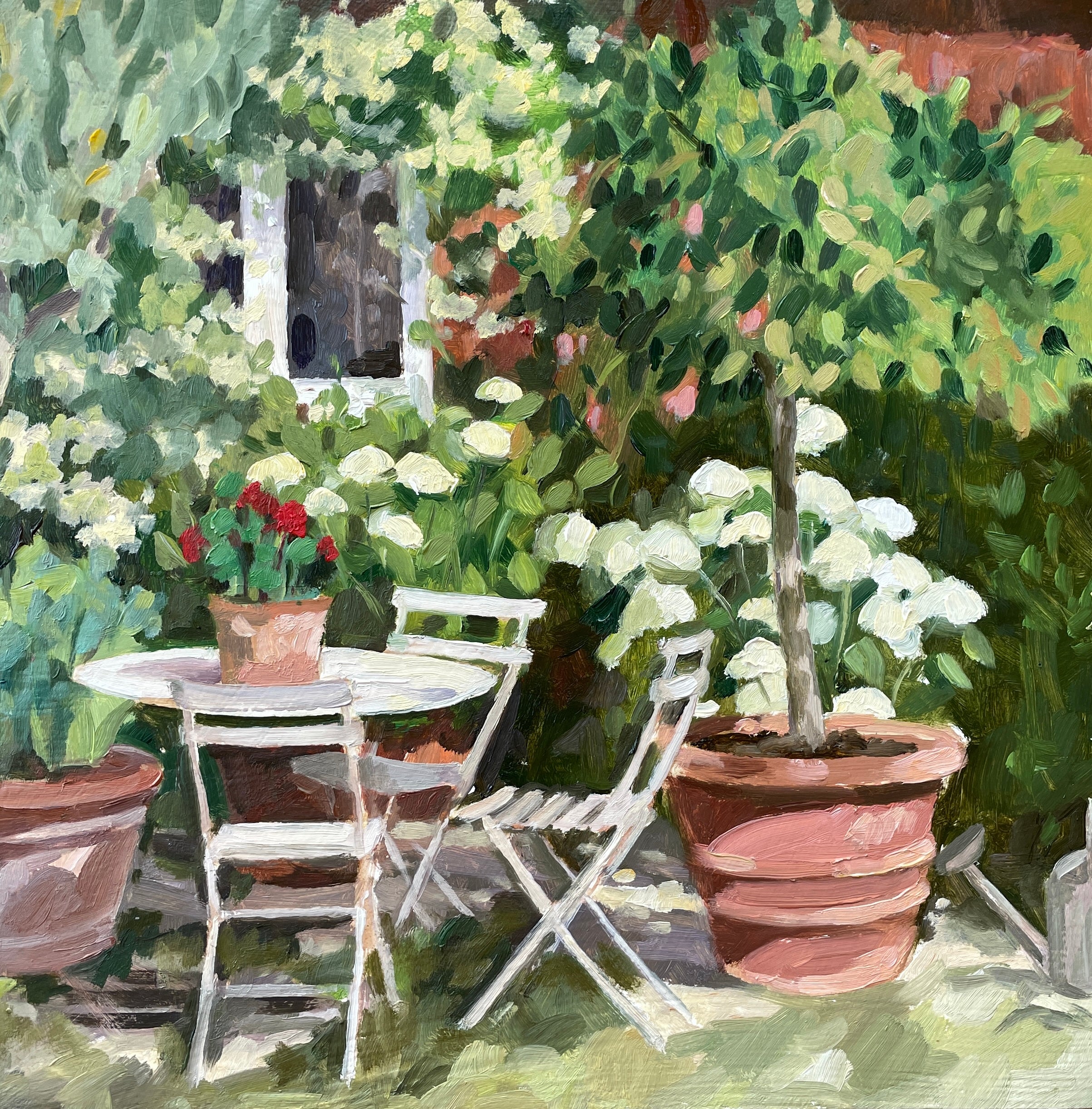 A Sunny spot in the garden