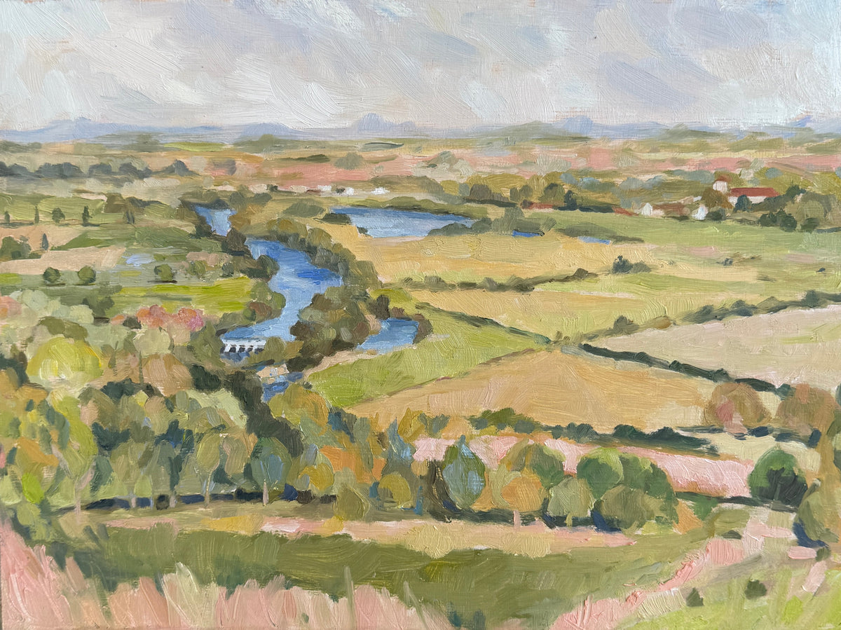View from the Wittenham Clumps