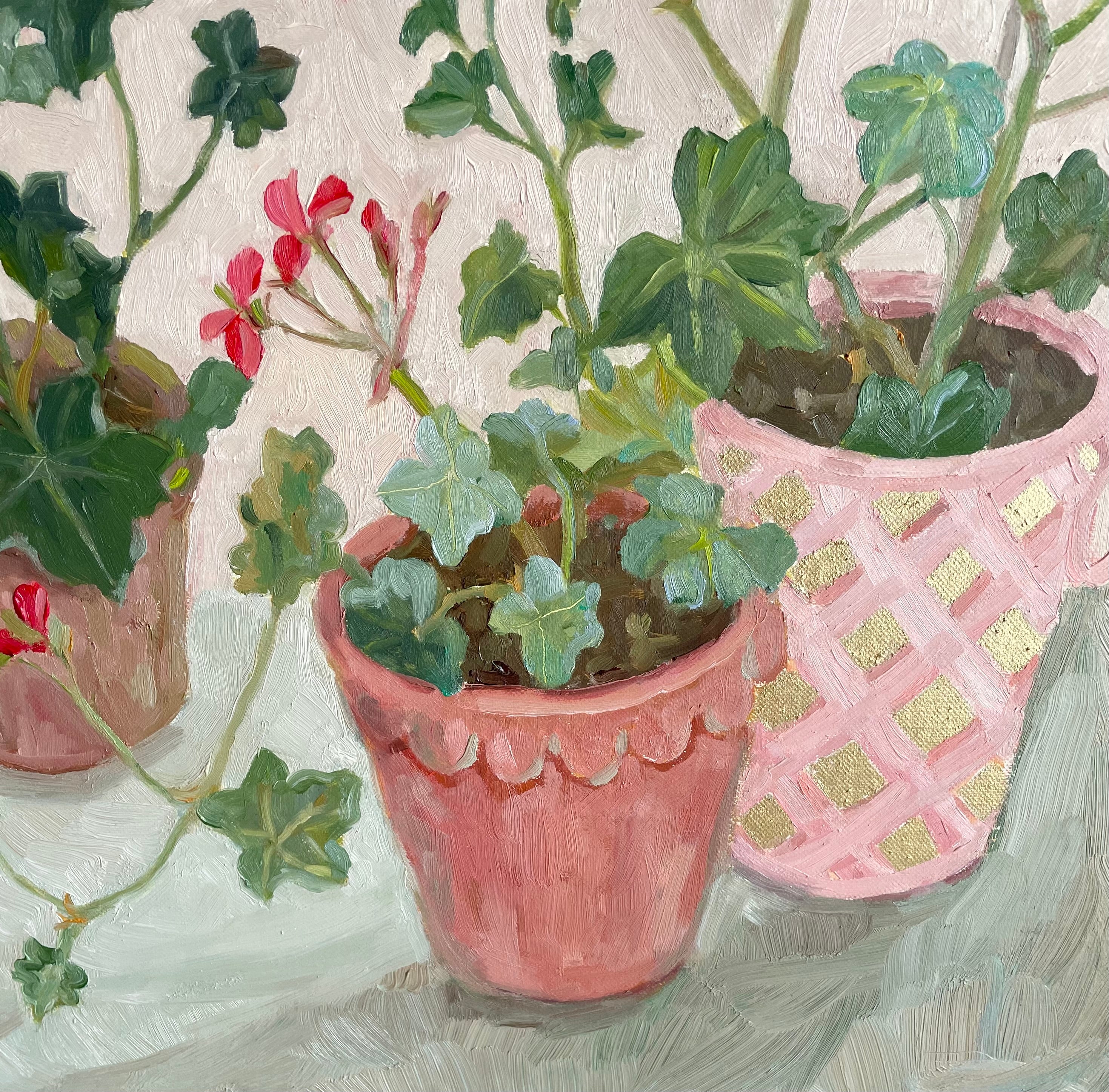 Geraniums on a table