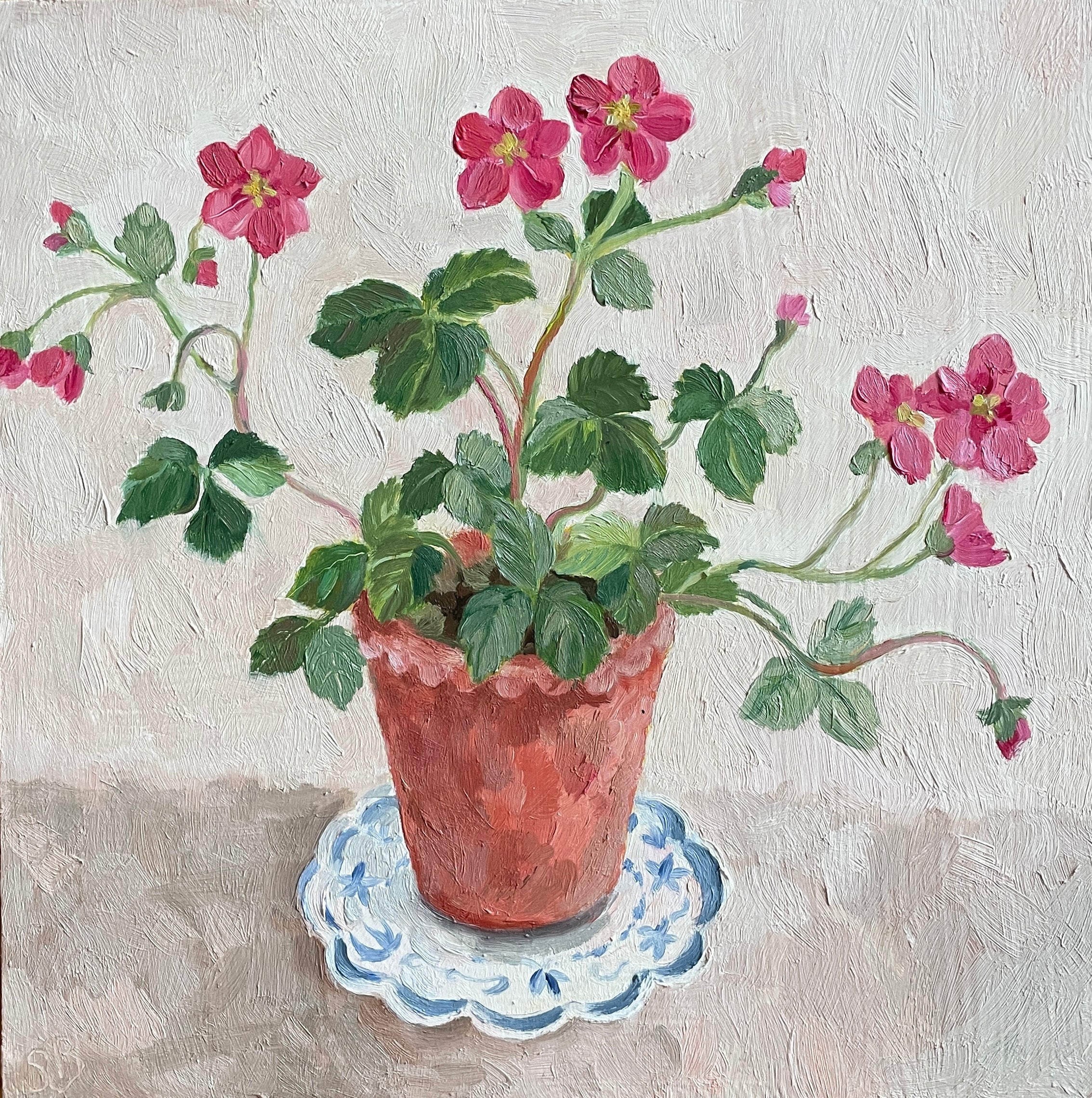 little strawberry plant