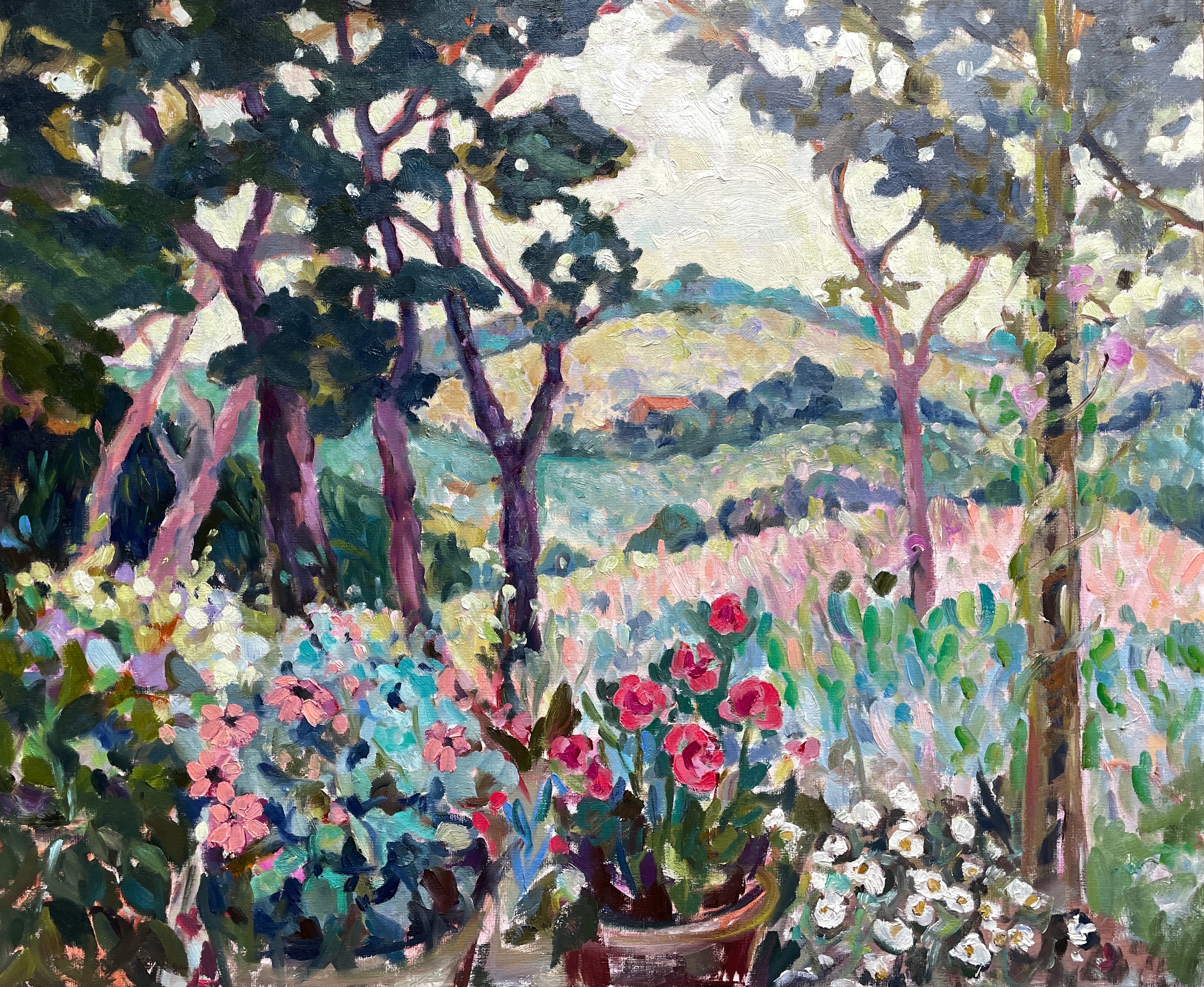 View from the Terrace