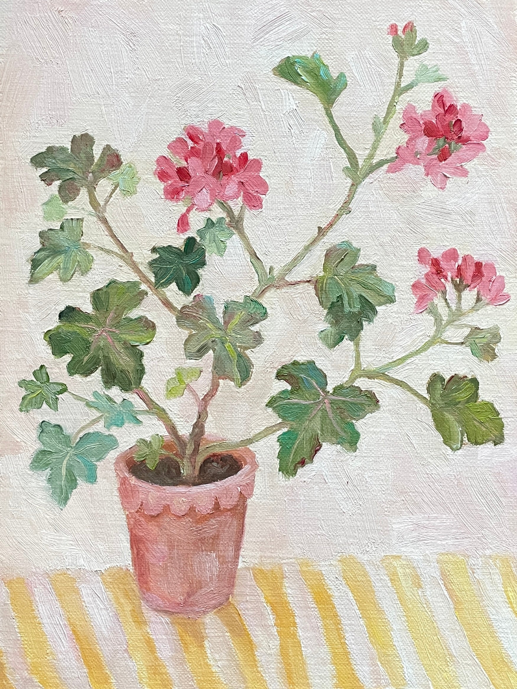 Geranium on a stripy tablecloth