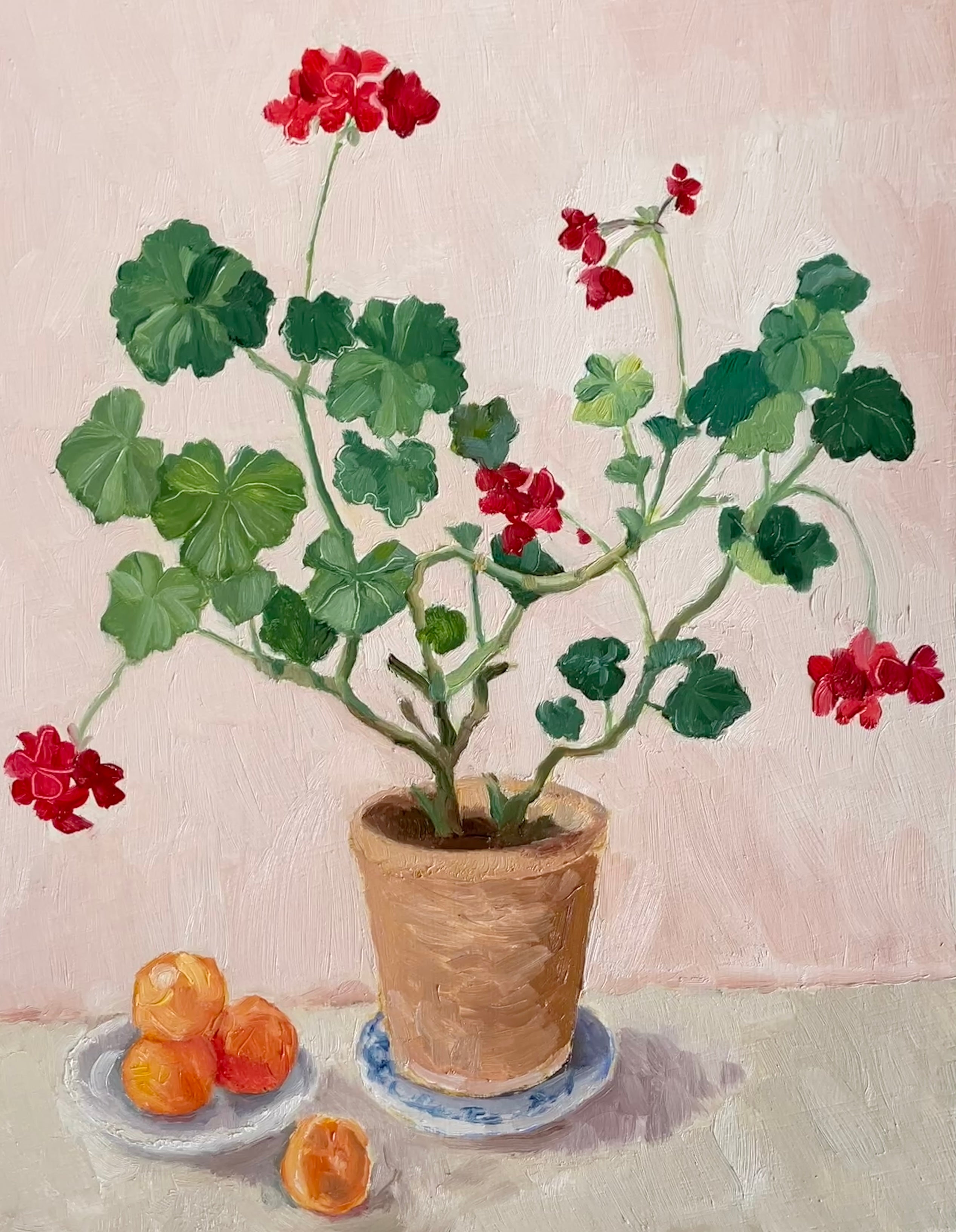 Geranium and oranges