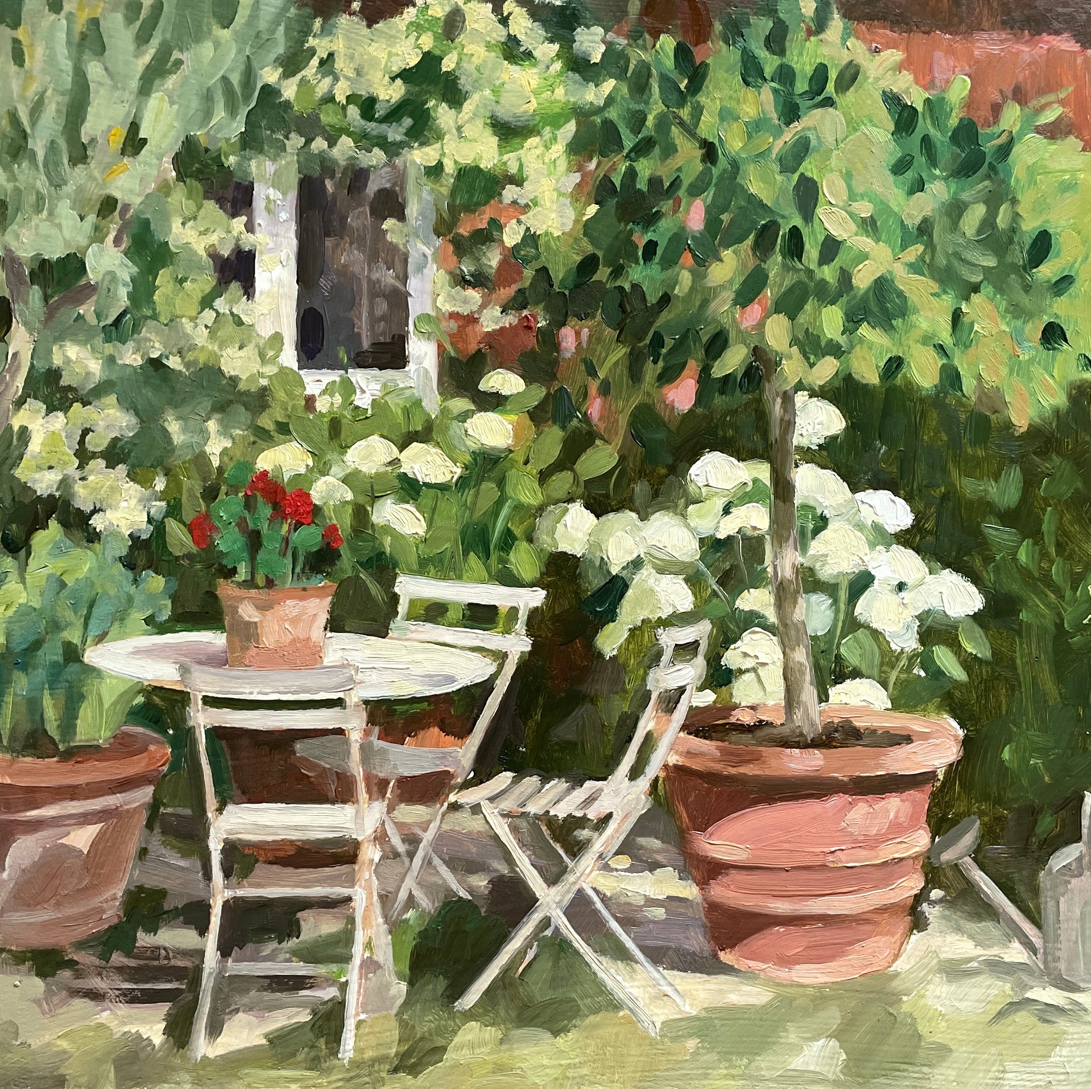 A Sunny spot in the garden