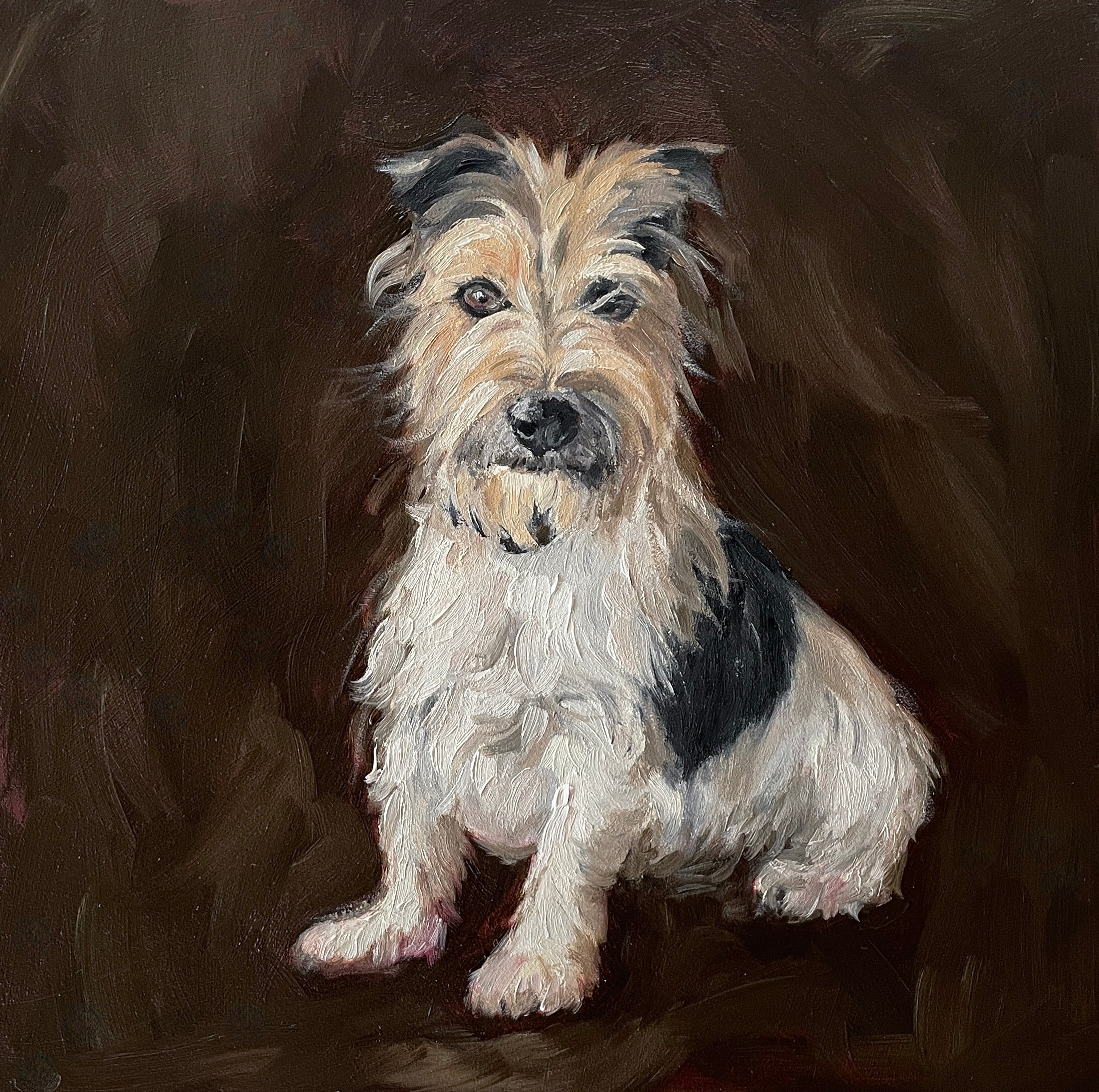 Jack Russell
