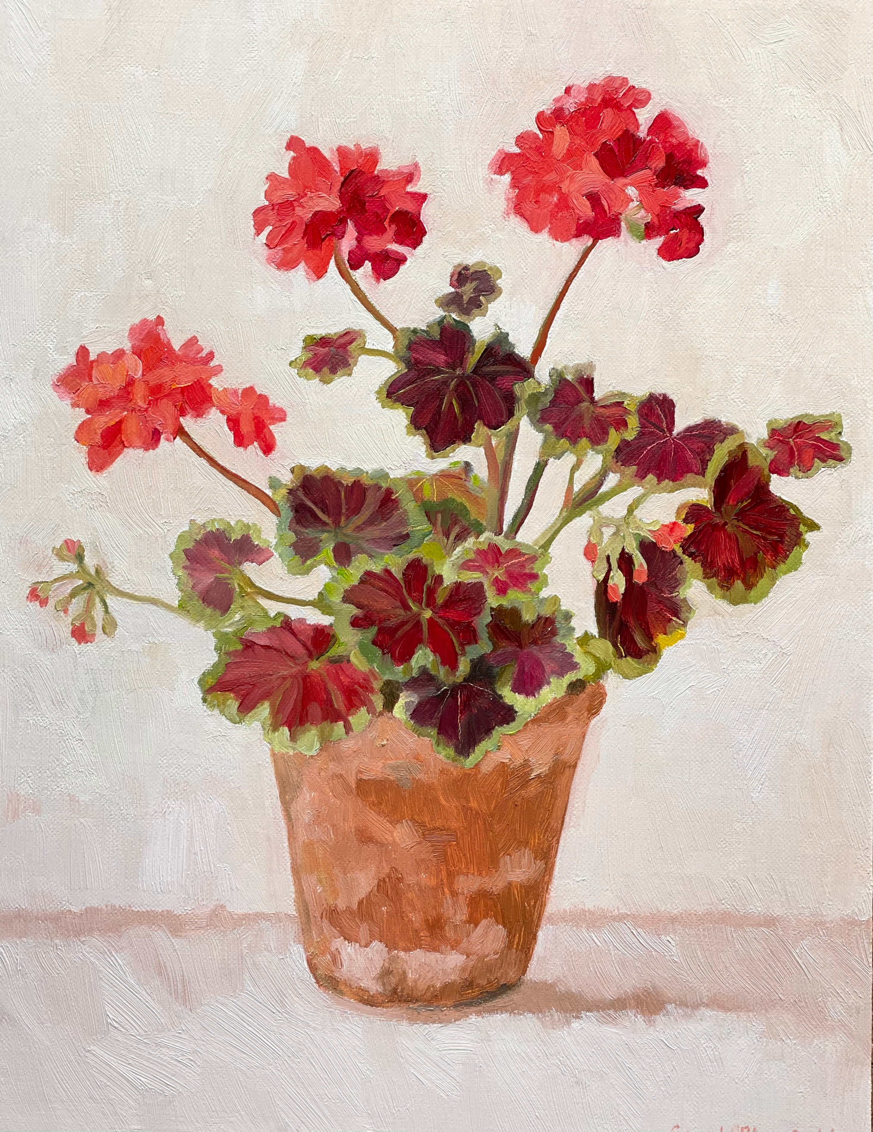 Red geranium