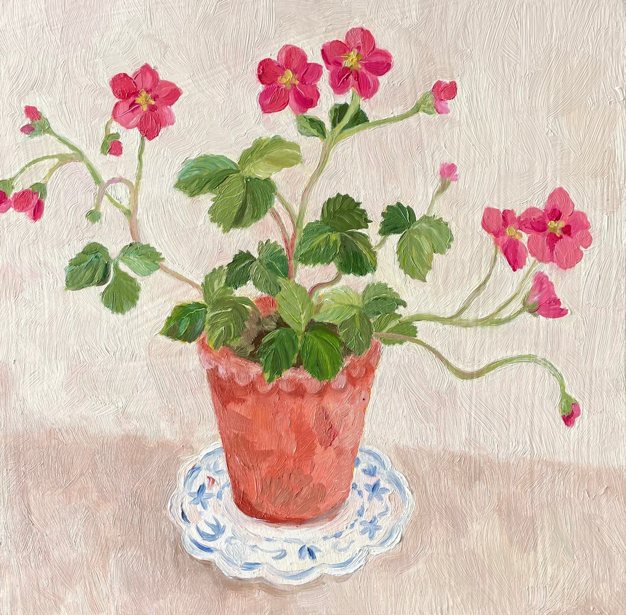 Pink Strawberry plant