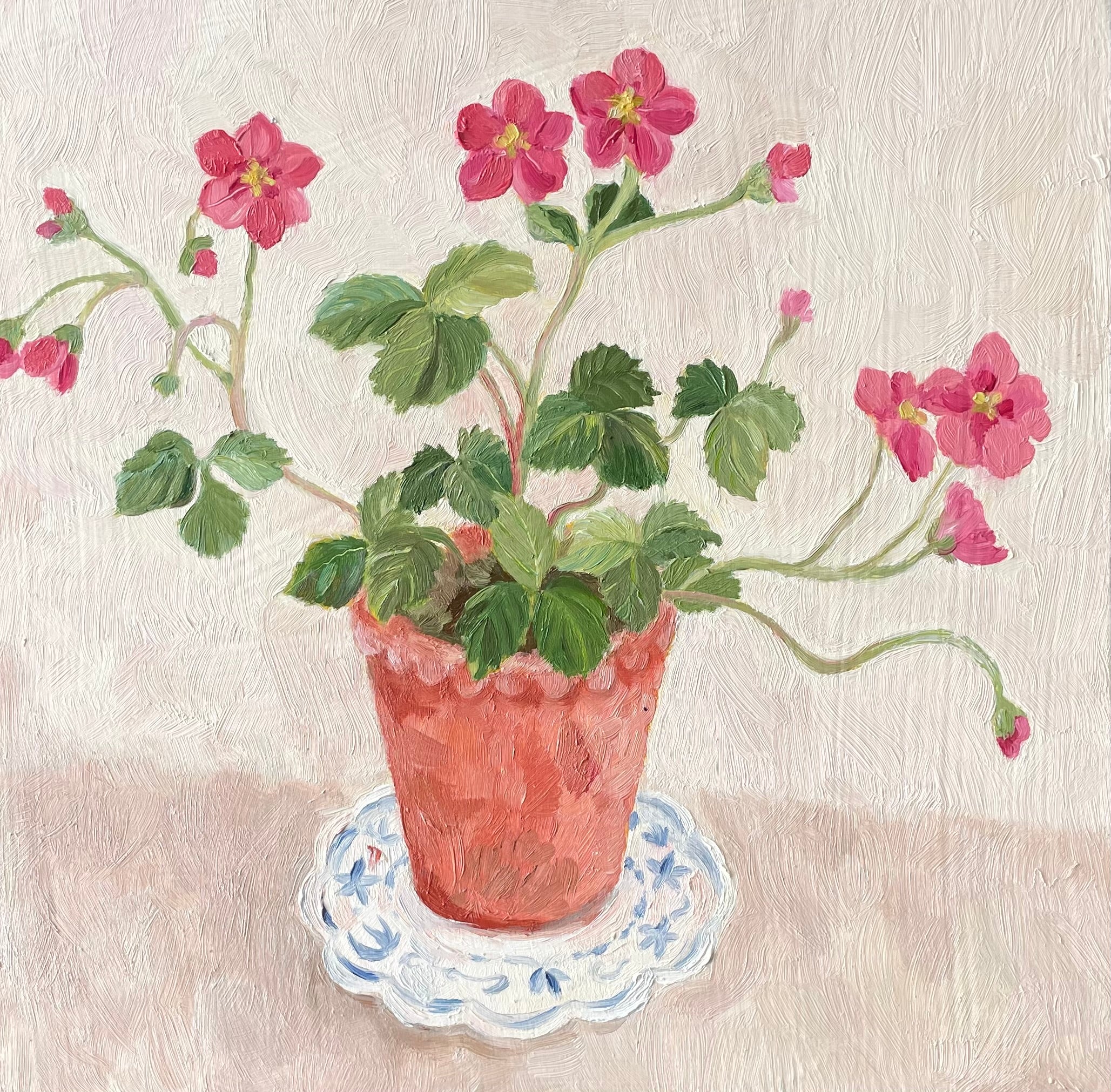 Pink Strawberry plant