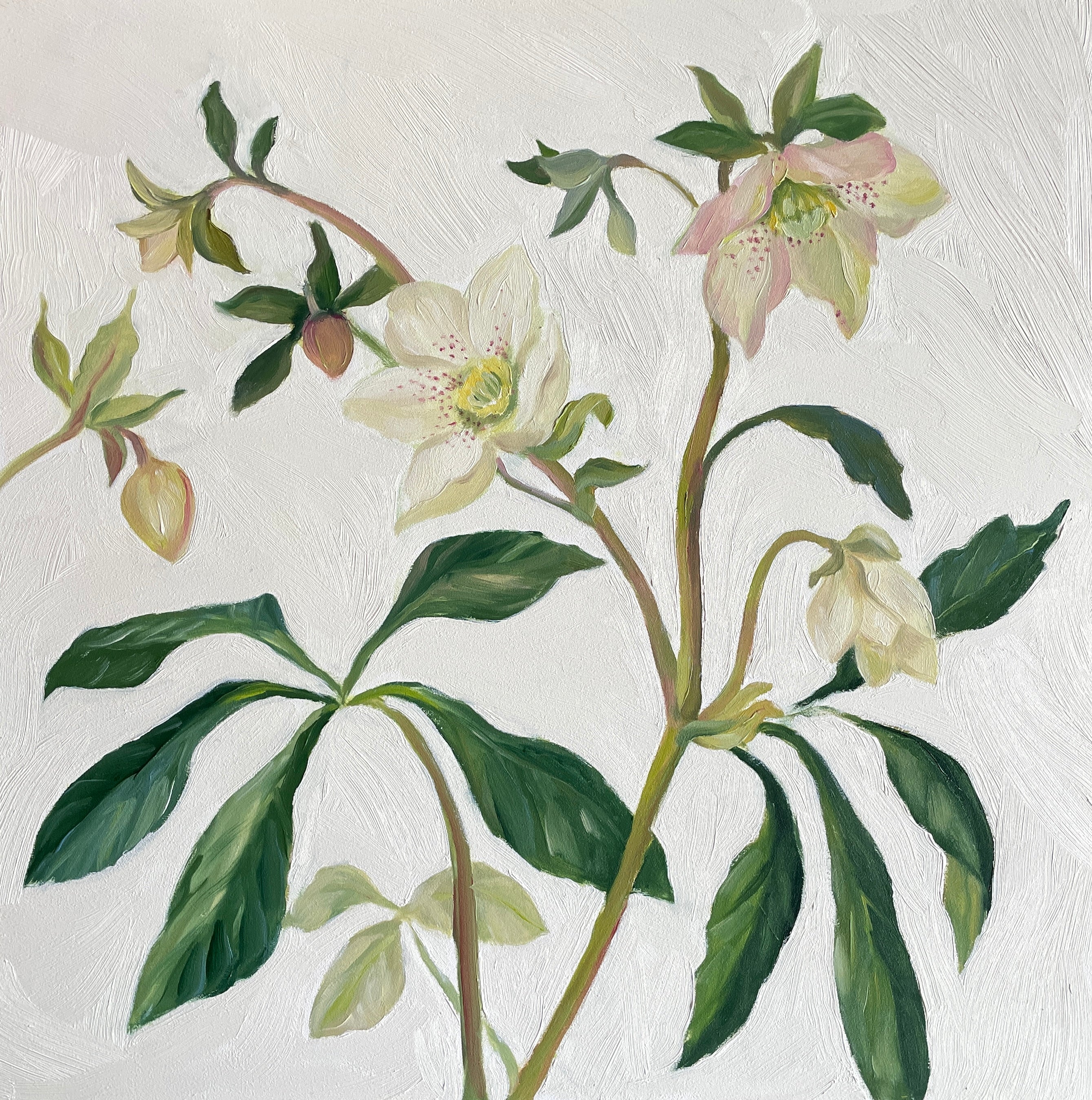 Oil paintings, pack of eight mixed greetings cards