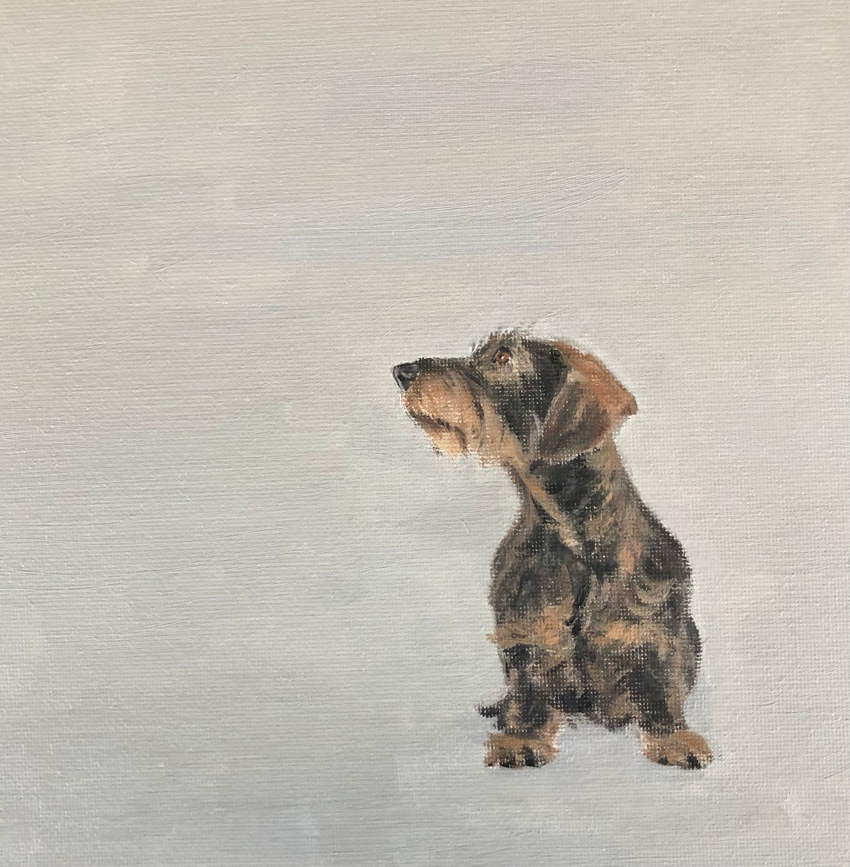 oil painting of a wire haired dachshund
