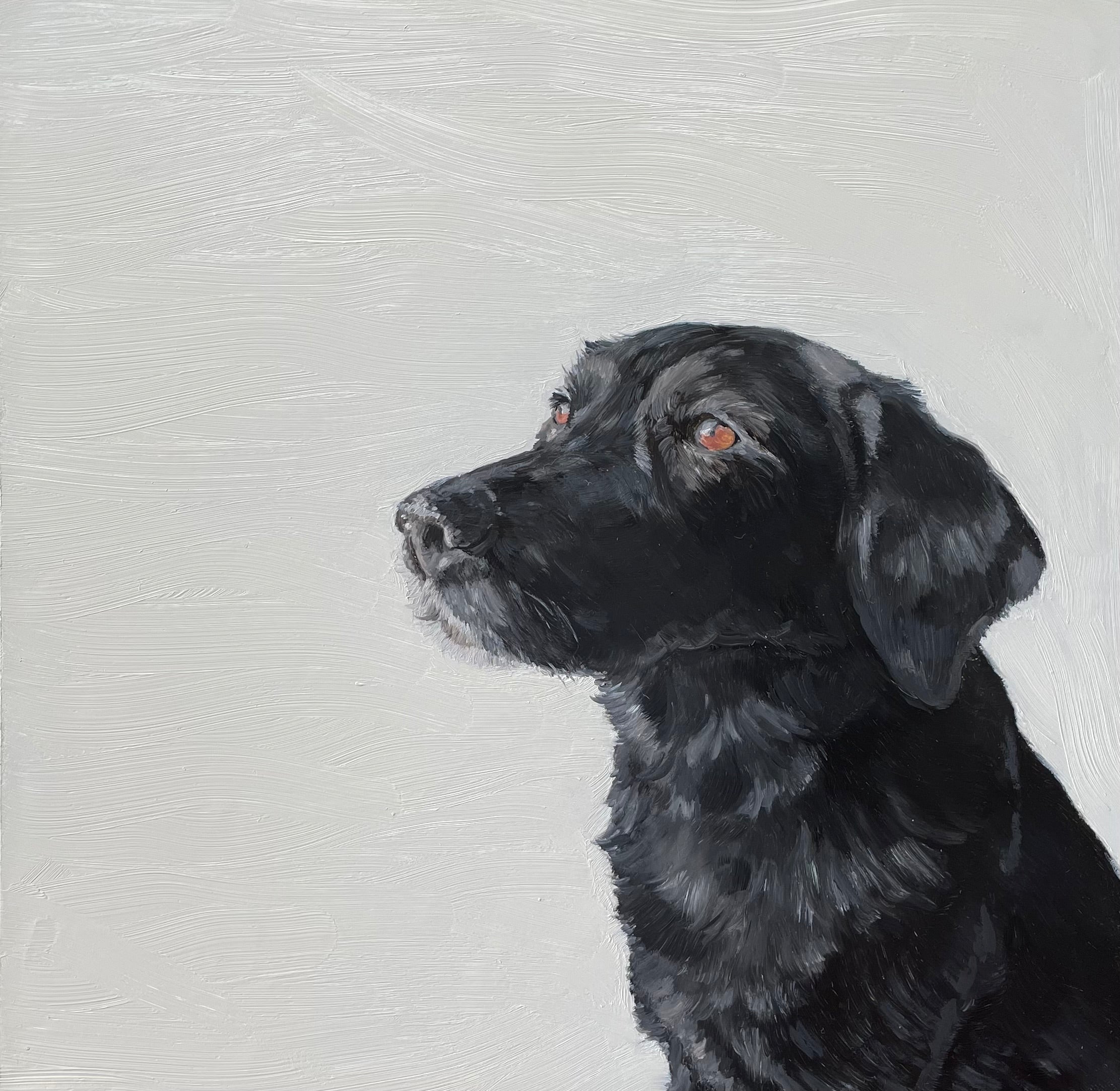 oil painting of a black Labrador