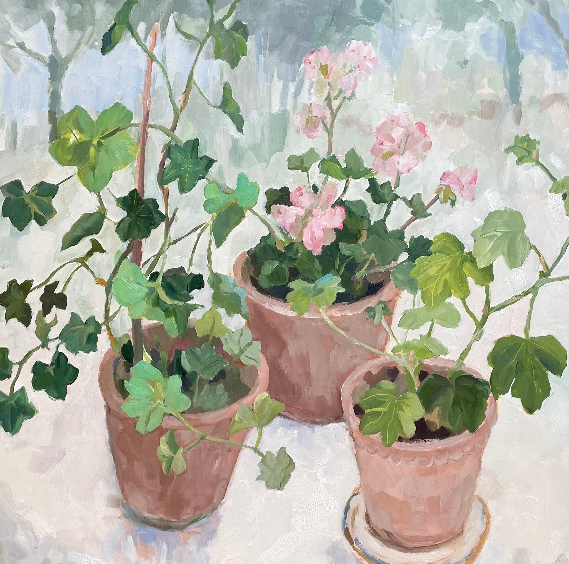 oil painting of pale pink geraniums in pots