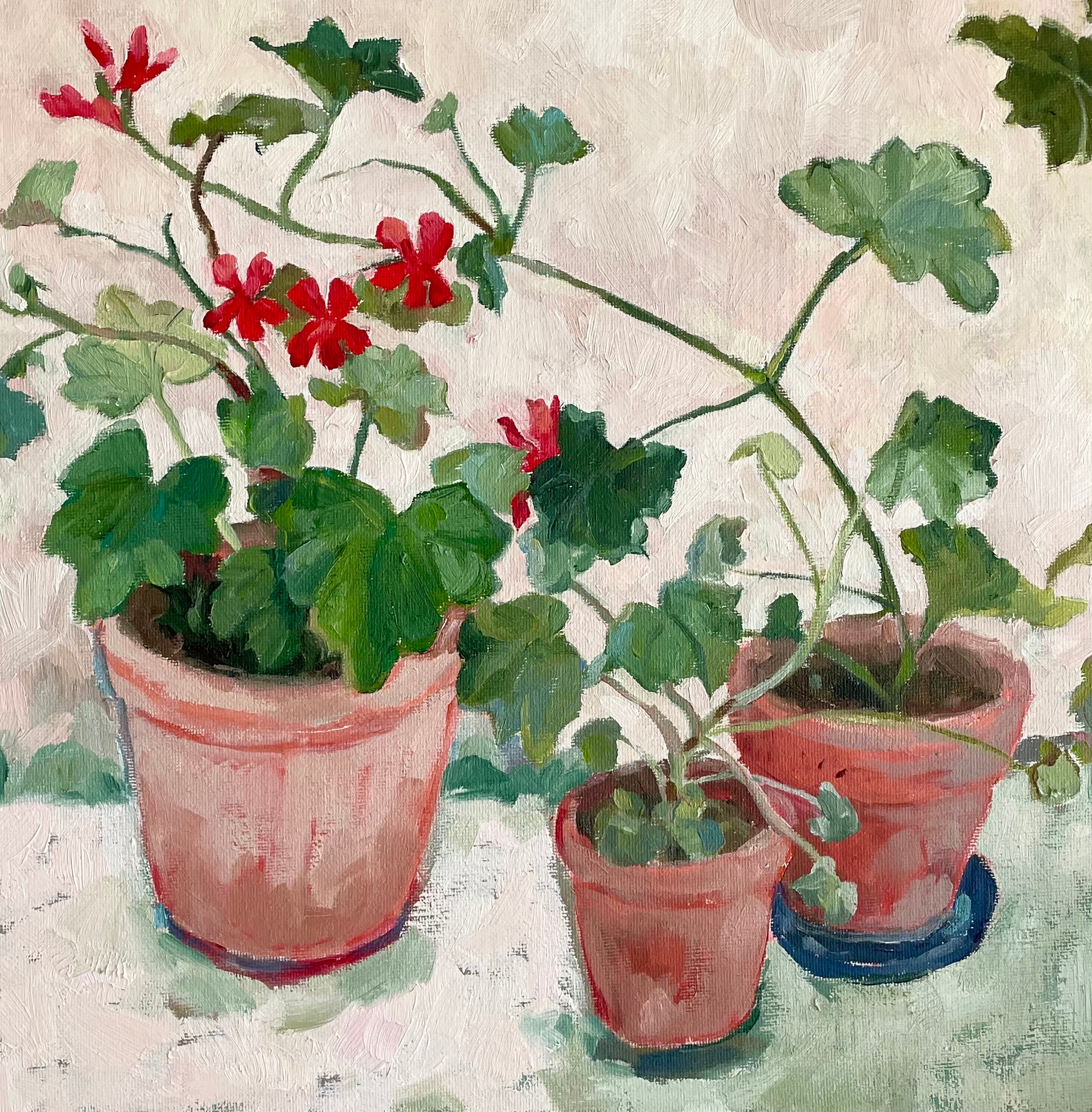 oil painting of three red geraniums in terracotta pots